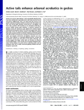 2008-Jusufi-Revzen-PNAS.pdf-preview.png